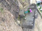 image of grave number 652847